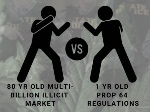 regulations vs black market