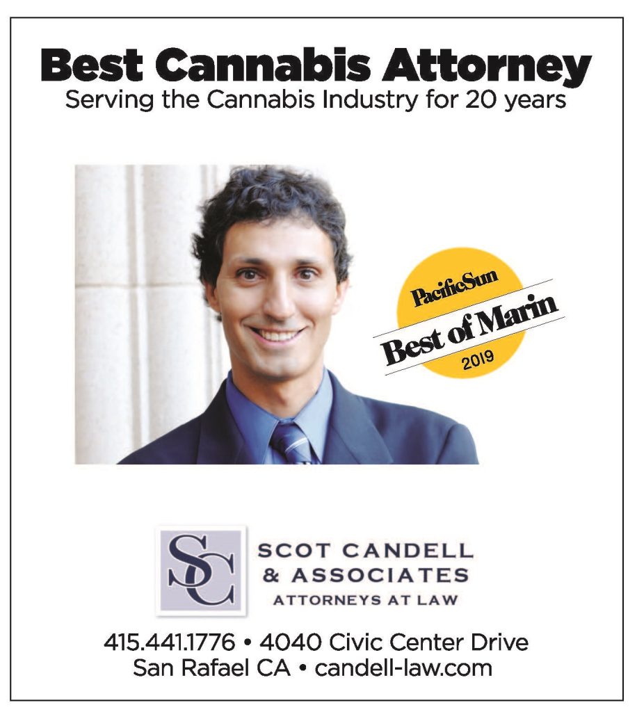 Best Cannabis Attorney